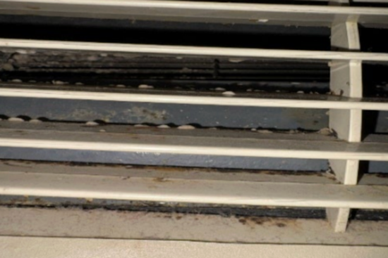 Baltimore Shelter Mold, Pests Detailed in IG Report