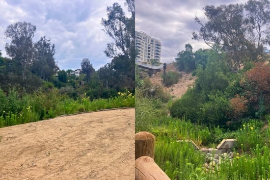 Bankers Hill's $20M Maple Canyon Fix Nears Finish After Decades of Erosion