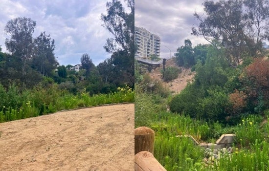 Bankers Hill's $20M Maple Canyon Fix Nears Finish After Decades of Erosion
