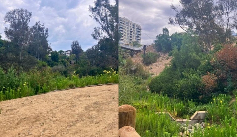 Bankers Hill's $20M Maple Canyon Fix Nears Finish After Decades of Erosion