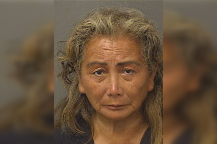 Banned Woman, 65, Returns to Mar-a-Lago With Cart, Gets Arrested Again