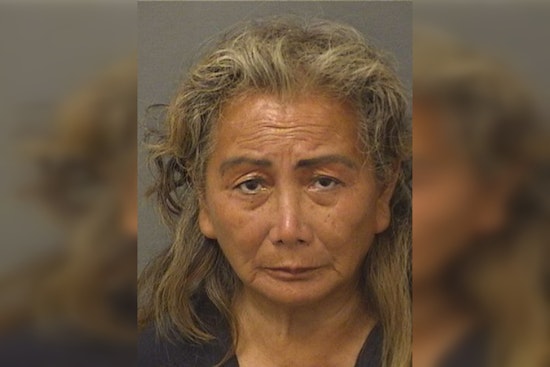 Banned Woman, 65, Returns to Mar-a-Lago With Cart, Gets Arrested Again
