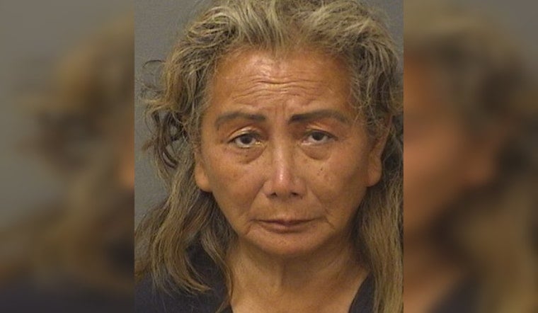 Banned Woman, 65, Returns to Mar-a-Lago With Cart, Gets Arrested Again
