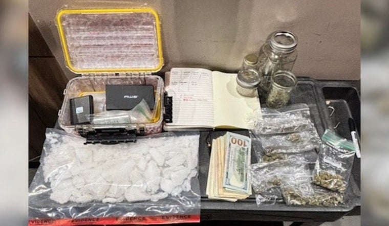 Bartow Woman Faces Meth Trafficking Charges After Hillsborough Stop