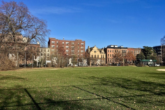 Bed-Stuy Dog Run Shut After Arsenic, Mercury Found, Owners Face Years-Long Wait