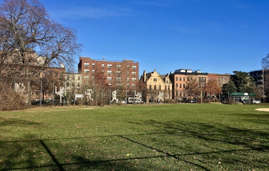 Bed-Stuy Dog Run Shut After Arsenic, Mercury Found, Owners Face Years-Long Wait
