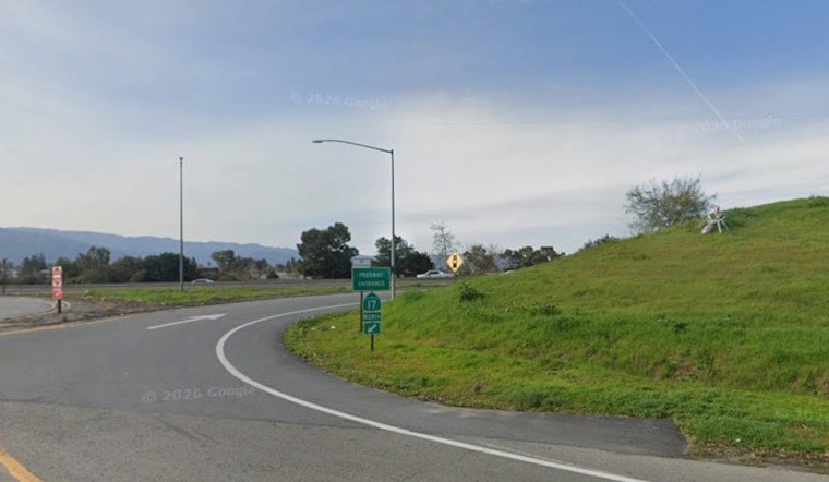 Beloved Silver Ant Sculpture on Highway 17 in Campbell Smashed by Vandals