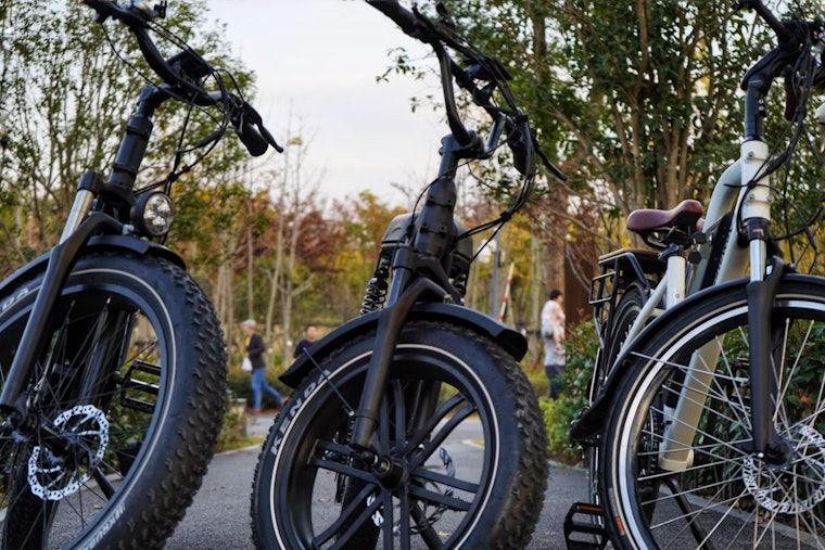 Berkley Moves to Ban E-Bikes From Sidewalks and Parks Citywide