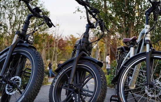 Berkley Moves to Ban E-Bikes From Sidewalks and Parks Citywide