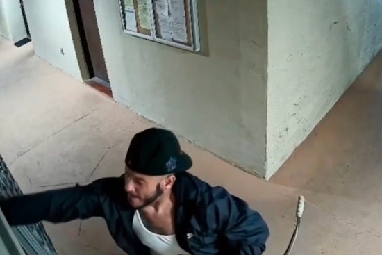 Bike-Riding Mail Bandit Ransacks Fontainebleau Apartment Mailboxes for Months