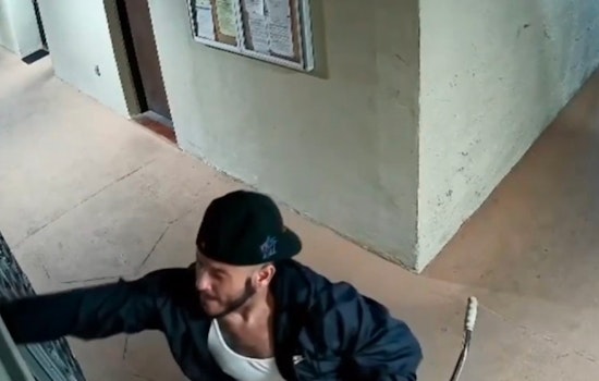Bike-Riding Mail Bandit Ransacks Fontainebleau Apartment Mailboxes for Months