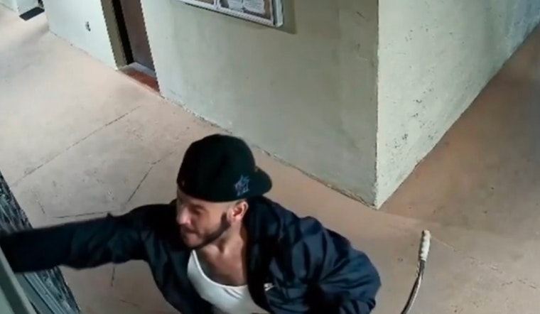 Bike-Riding Mail Bandit Ransacks Fontainebleau Apartment Mailboxes for Months