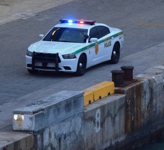 Bloodied Perez Hilton’s Disturbing TikTok Live Sparks Miami-Dade Sheriff Response