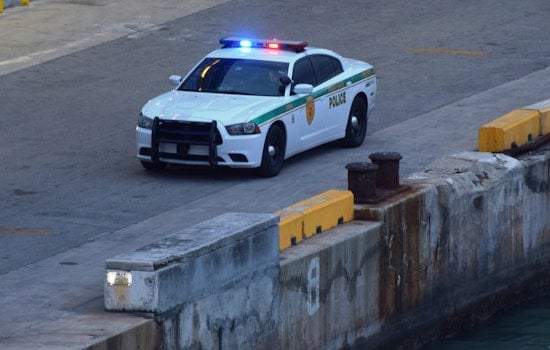 Bloodied Perez Hilton’s Disturbing TikTok Live Sparks Miami-Dade Sheriff Response