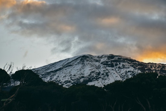 Bloomington Women Conquer Kilimanjaro’s Uhuru Peak in 5 Grueling Days