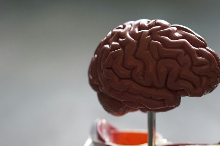Boca Raton Teen's App Aids Alzheimer's, Memory Loss