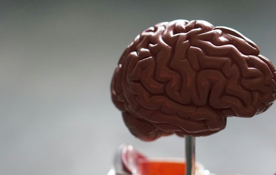 Boca Raton Teen's App Aids Alzheimer's, Memory Loss