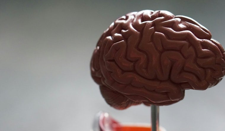 Boca Raton Teen's App Aids Alzheimer's, Memory Loss