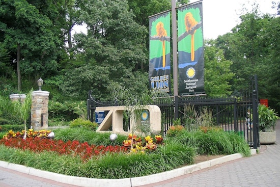 National Zoo Brings Back Boo at the Zoo and Adult-Only Night of the Living Zoo