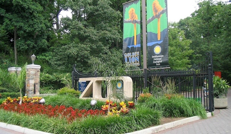 National Zoo Brings Back Boo at the Zoo and Adult-Only Night of the Living Zoo