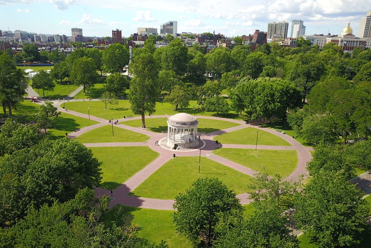 Boston Common's Free Shakespeare Turns 30 With Neon Dream and $1.2M Kids Pledge