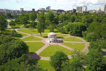 Boston Common's Free Shakespeare Turns 30 With Neon Dream and $1.2M Kids Pledge