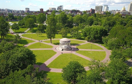 Boston Common's Free Shakespeare Turns 30 With Neon Dream and $1.2M Kids Pledge