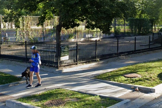 Botched Hamlin Park Dog Run Overhaul Leaves Roscoe Village Pups With Bloody Paws