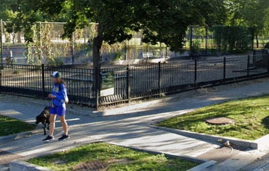 Botched Hamlin Park Dog Run Overhaul Leaves Roscoe Village Pups With Bloody Paws