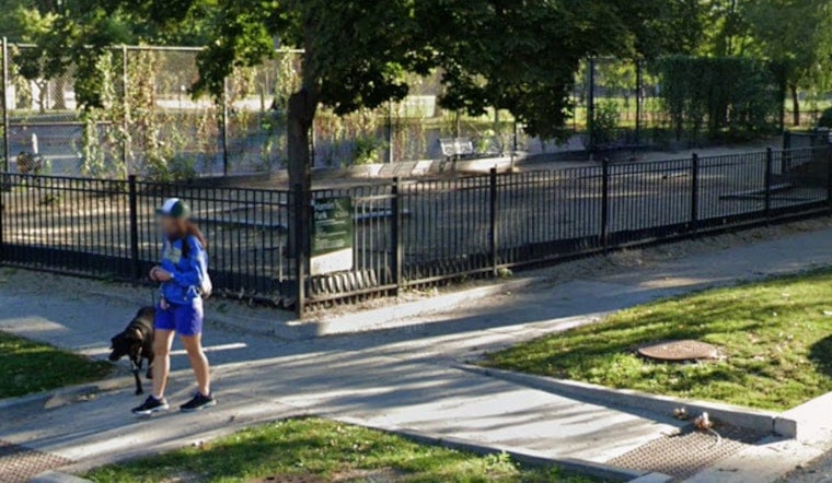 Botched Hamlin Park Dog Run Overhaul Leaves Roscoe Village Pups With Bloody Paws