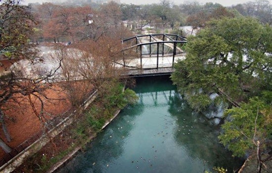 Brackenridge Park Hosts Free Monarch Festival as Butterflies Rebound, Stay at Risk