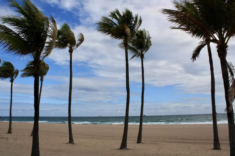 Breezy, Queasy in Honolulu: High Tides, Coastal Flooding and Tropical Wild Card Ahead