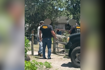 Brevard County Woman Jailed in Horse Stabbing Case