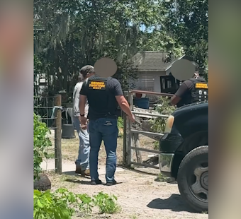 Brevard County Woman Jailed in Horse Stabbing Case