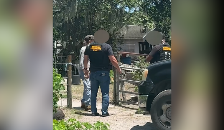 Brevard County Woman Jailed in Horse Stabbing Case