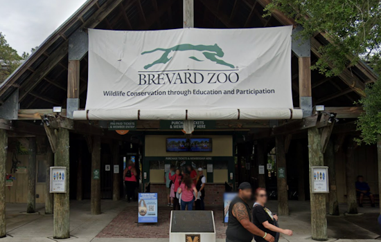 Brevard Zoo Adds After-Dark Halloween Event With Jump-Scare Trail for Teens