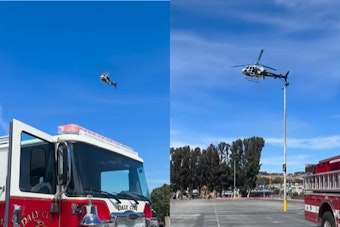 Brisbane Hiker Hoisted Out of Firth Canyon Just Days After Daly City Cliff Rescue