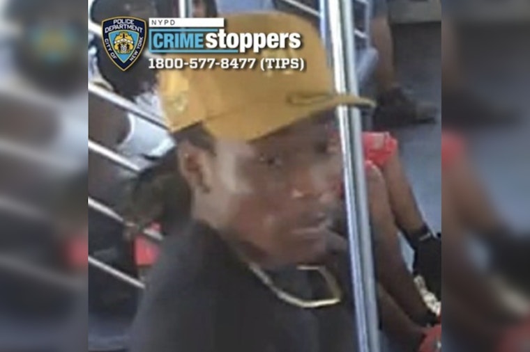 Bronx 2 Train Rider, 20, Loses $3,000 Necklace to Gun Hill Road Snatcher