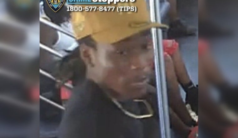 Bronx 2 Train Rider, 20, Loses $3,000 Necklace to Gun Hill Road Snatcher