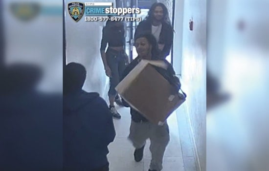 Bronx Clothing Sale Turns Into Armed Robbery, Trio Steals $1,700 in Gear