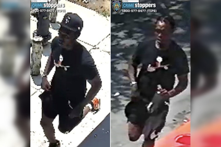 Bronx Man, 29, Slashed in Neck Outside Concourse Building, Attacker Still at Large
