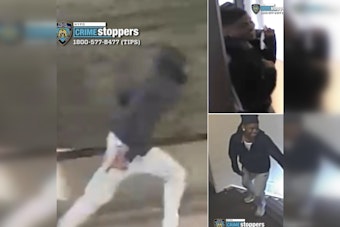 Bronx Necklace Snatcher Rips Jewelry Off 9-Year-Old Girl in Broad Daylight: NYPD