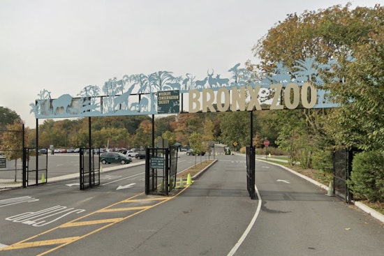 Bronx Zoo Holiday Lights Adds Nighttime Zoo Access This Year