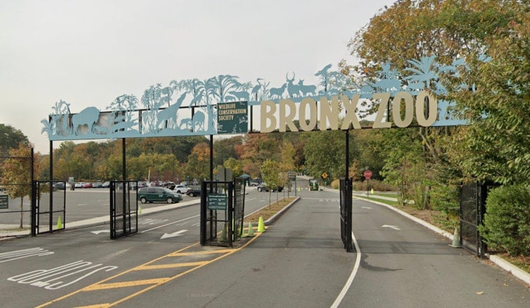 Bronx Zoo Holiday Lights Adds Nighttime Zoo Access This Year