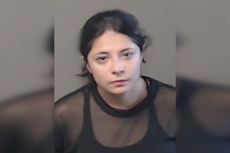 Brookhaven Woman Accused of Tossing Kittens From Minivan on Osborne Road