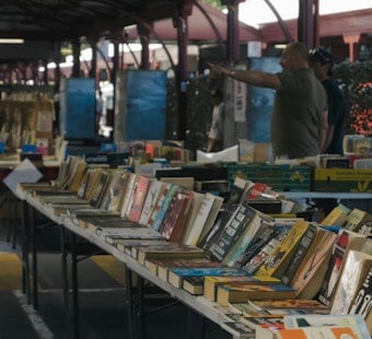 Brooklyn Book Festival Returns With 250 Publishers, Nine Days of Events Citywide
