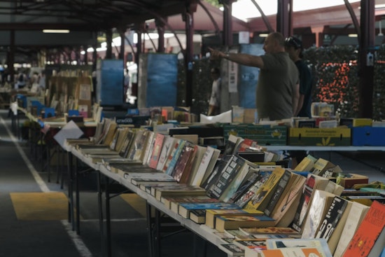 Brooklyn Book Festival Returns With 250 Publishers, Nine Days of Events Citywide