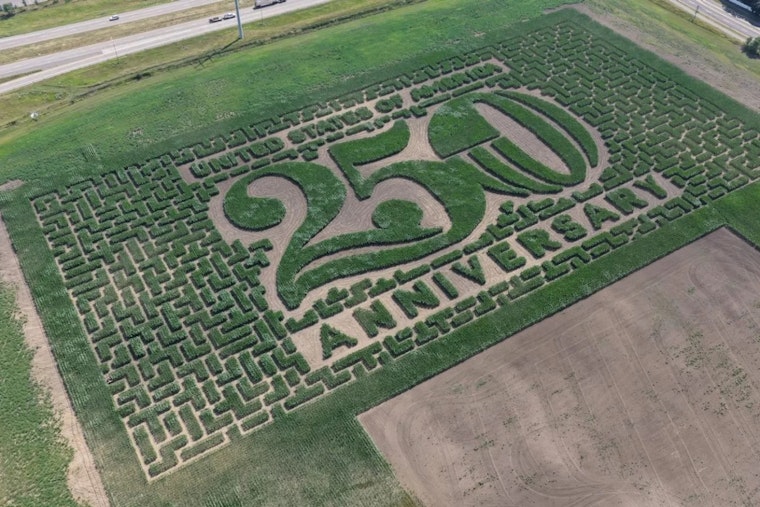 Brooklyn Park Corn Maze Returns After Warehouses Ate Its Old Field