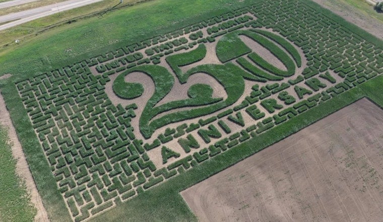 Brooklyn Park Corn Maze Returns After Warehouses Ate Its Old Field