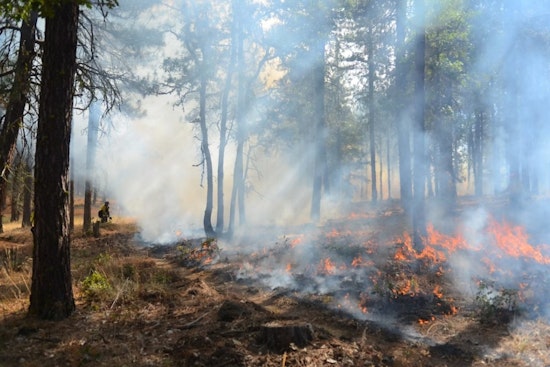 Bug Fire Explodes to 6,500 Acres, Forces Cold Springs and Silver Knolls to Flee